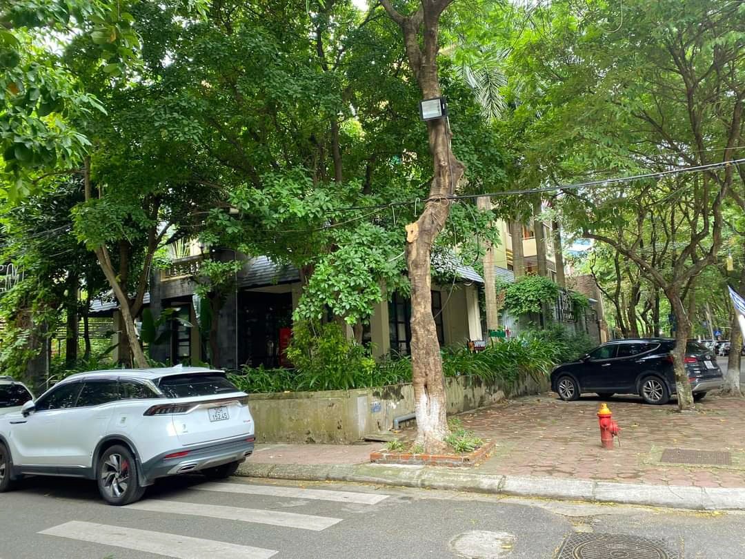 BIỆT THỰ SÂN VƯỜN SIÊU VIP TRUNG TÂM CẦU GIẤY, DIỆN TÍCH KHỦNG, MẶT TIỀN RỘNG, 098.115.8.507.