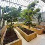  100m2 - 6