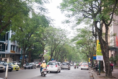 Cho thuê nhà mặt phố Lý Thường Kiệt, diện tích mặt bằng rộng 100m