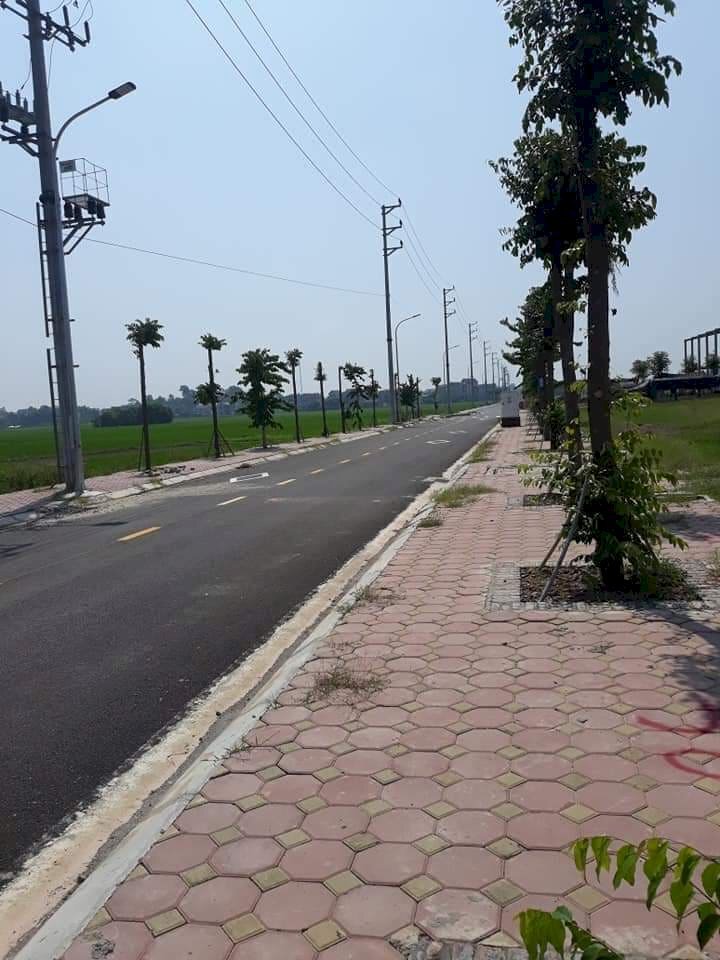 Bán đất chính chủ Thôn An Toàn Kiên Lao Lục Ngạn