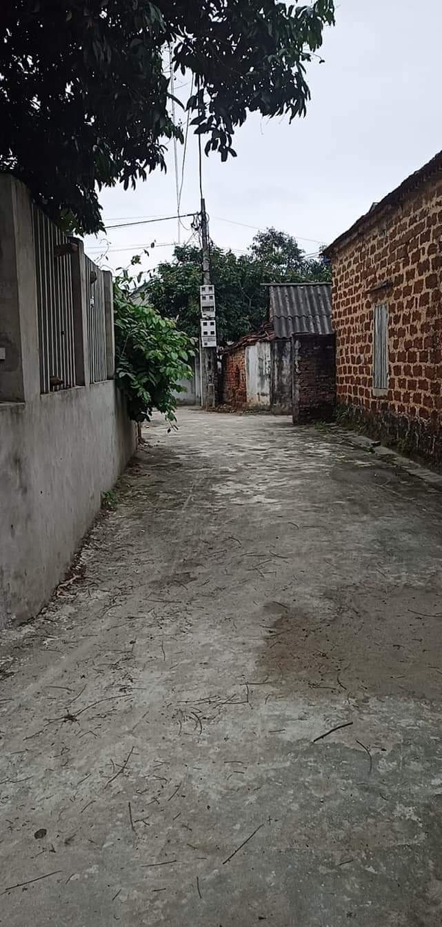 Ô tô vào 250 m đất có 13 m mặt tiền 1 tỷ hơn . Sổ đỏ chính chủ