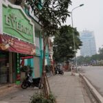  50m2 - 1