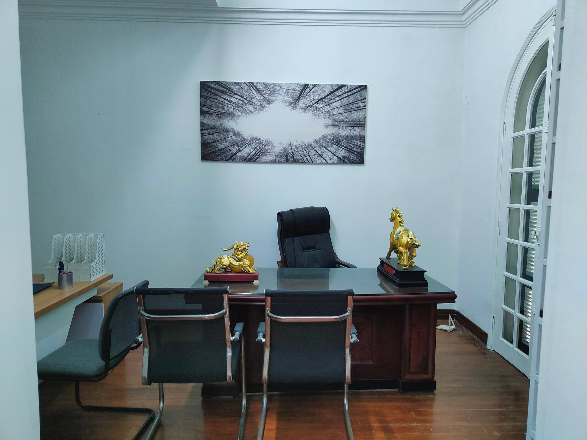 Biệt thự sân vườn, vừa ở vừa làm văn phòng ngõ 93 Cầu Giấy, 185m2, 4T, 10mMT. Giá 36 tỷ