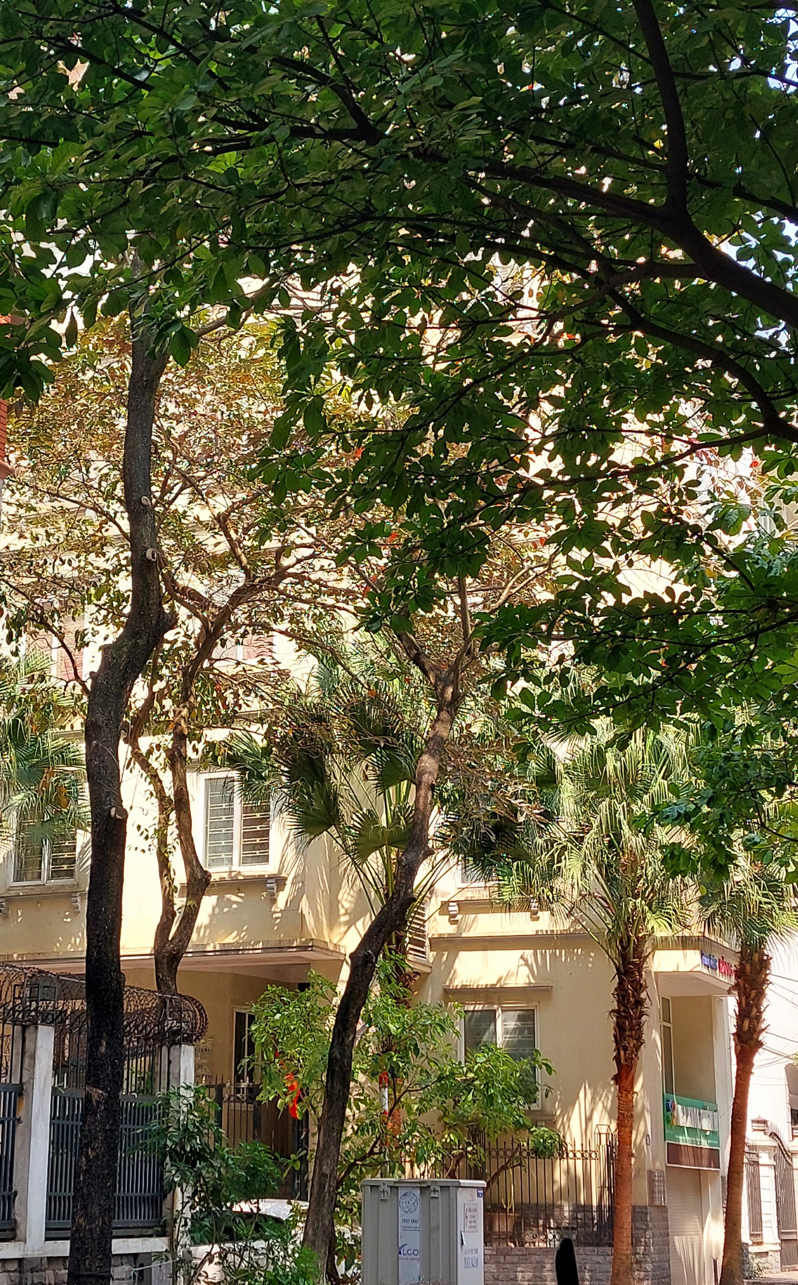 BIỆT THỰ TRUNG KÍNH 161M2, MT 12,8M SIÊU RỘNG, KHU Ở VIP TRUNG TÂM, VỊ TRÍ VÀNG GIỮ TIỀN TUYỆT VỜI.