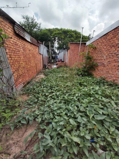 Bán nền thổ cư mặt tiền - 720 triệu