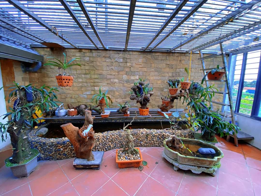 SIÊU PHẨM BIỆT THỰ SÂN VƯỜN 160M2 VIEW VƯỜN HOA TUYỆT ĐẸP CẦN BÁN TẠI KHU ĐÔ THỊ GELEXIMCO LÊ TRỌNG TẤN HÀ ĐÔNG, 098.115.8.507