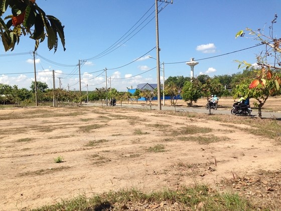 CHÍNH CHỦ BÁN 3 LÔ ĐẤT CÓ KHOÁNG NÓNG, SỔ ĐỎ 200M2/LÔ, NGAY SÁT WYNDHAM THANH THỦY CHỈ TỪ 19TR/M2