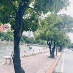  50m2 - 6