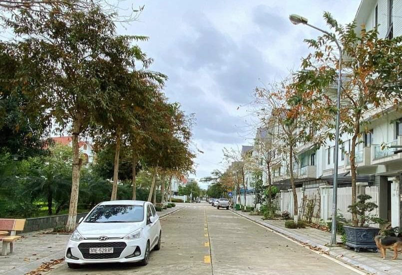 Bán BIỆT THỰ LIỀN KỀ GELEXIMCO C D Lê Trọng Tấn hàng xóm Aeon Hà Đông gần trường học 0981158507 Chính chủ nhờ gửi bán