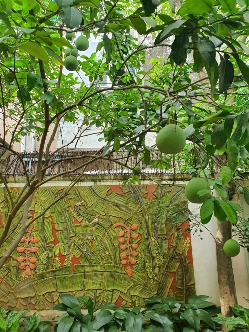 Biệt thự KĐT Văn Phú, giá đầu tư chủ cần bán gấp 220m2, 3 tầng, MT 10m chỉ 26 tỷ