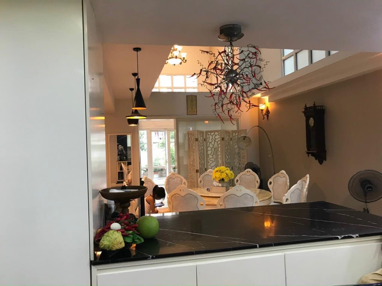 Bán biệt thự đẳng cấp Cửa Bắc, Ba Đình 170m 5 tầng 45 tỷ thang máy lô góc gara ô tô gần hồ Gươm