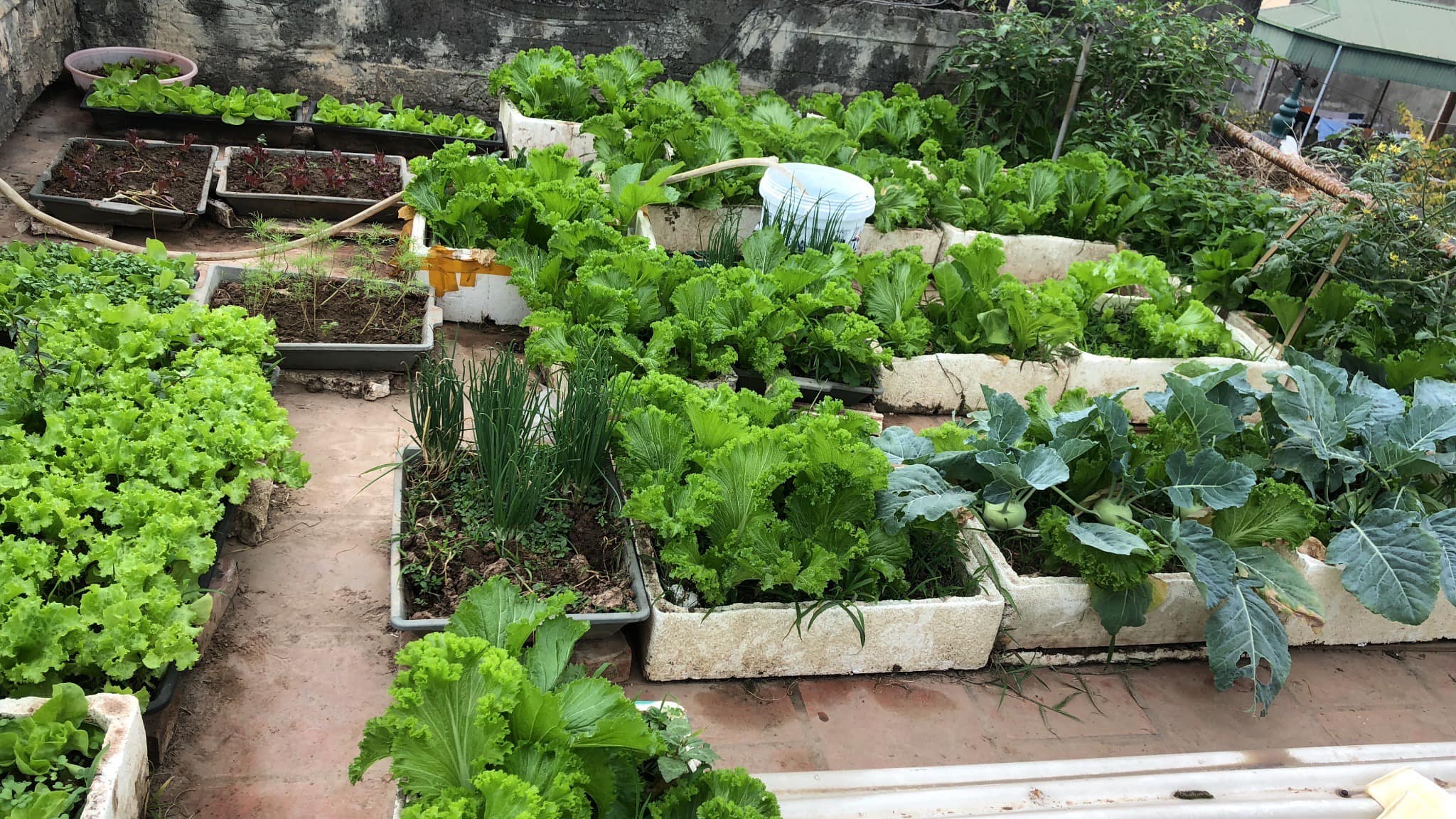 BÁN NHÀ HỒ TÙNG MẬU, CẦU GIẤY 90Mx5T 12.2 TỶ