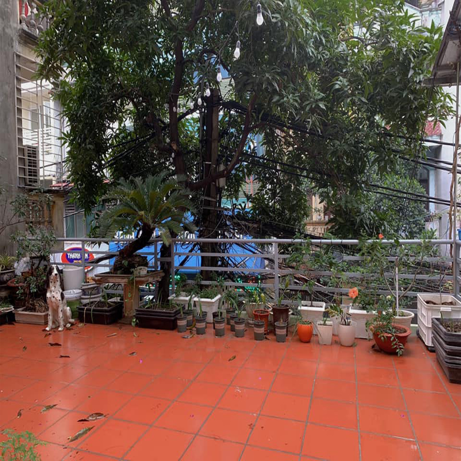 Phân Lô Quân Đôi, Ô Tô Tránh Tại Ngõ 332 Ngô Gia Tự, Long Biên 73m2, Chỉ Nhỉnh 5 Tỷ