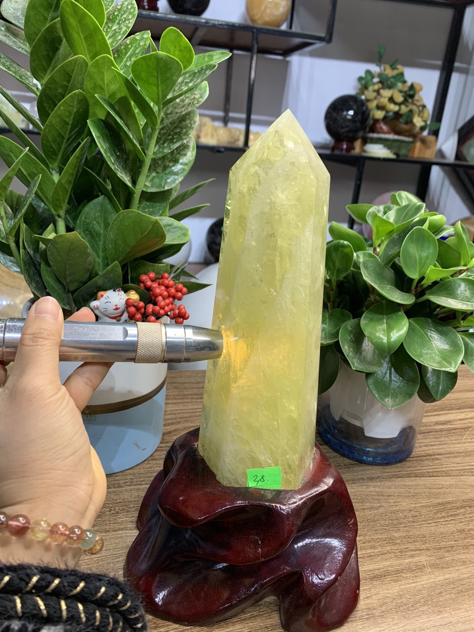 Bán Đất phố Hoàng Cầu TRần Quang Diệu Diện tích 130/142m2 MT 9.4m VIP ĐỐNG ĐA - Ô TÔ TRÁNH - VỈA HÈ