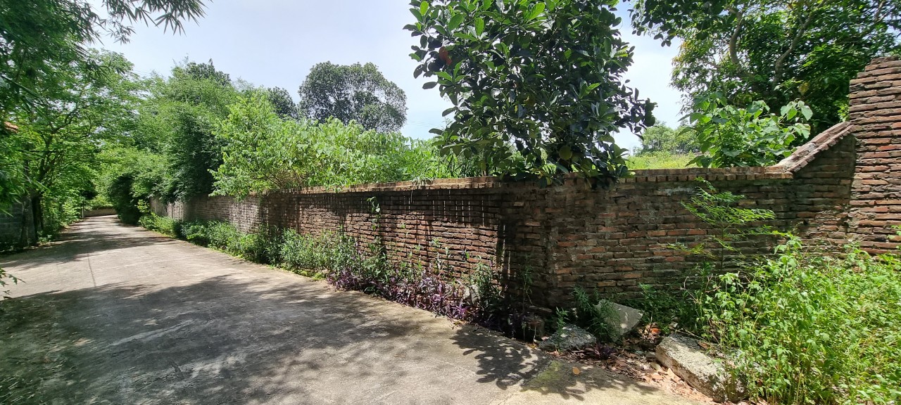 Bán gấp 8300m2 đất thổ cư hòa sơn giá 1.xtr/m2 view thoáng