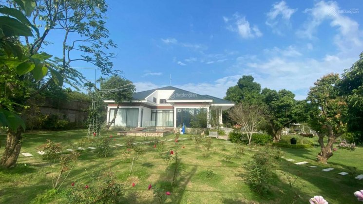  40000m2
