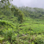  1000m2 - 4