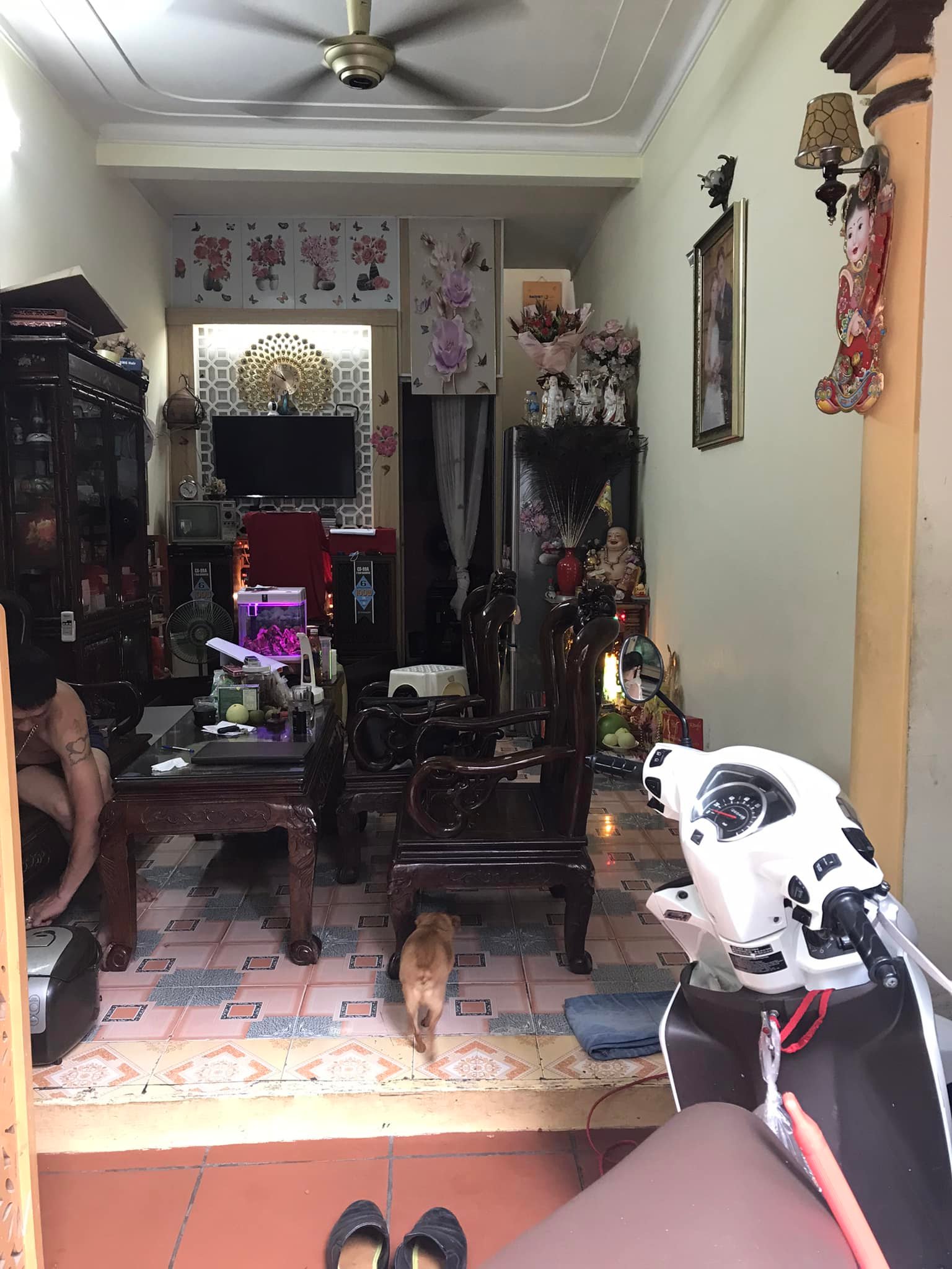 BÁN GẤP-MẶT NGÕ-ÔTÔ QUA NHÀ-3 THOÁNG-44M 3xTỶ-ĐẠI ĐỒNG HOÀNG MAI