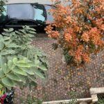 50m2