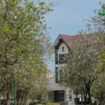  400m2 - 1