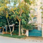  250m2 - 1