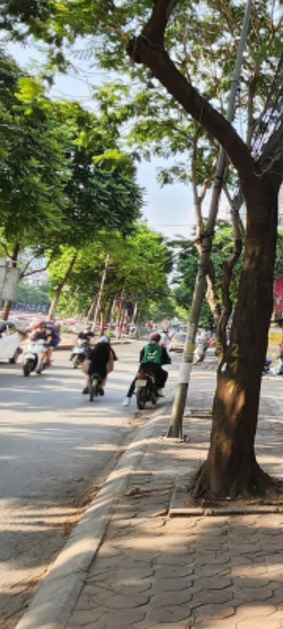 Bán Đất mặt phố Vũ Tông Phan Thanh Xuân 228/233m2 MT 8m Vuông vắn 2 mặt thoáng 56 tỷ MẶT PHỐ TIỀM NĂNG - 2