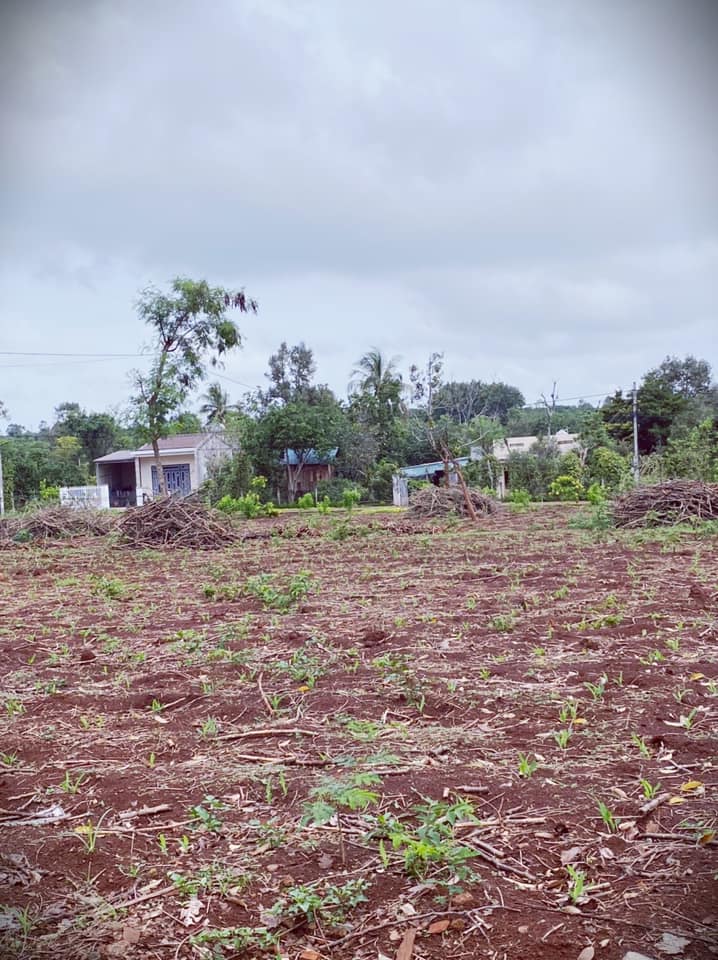 Thôn 2 Cư Suê, cách UBX 500m. sản phẩm duy nhất được bán với giá siêu ưu đãi.