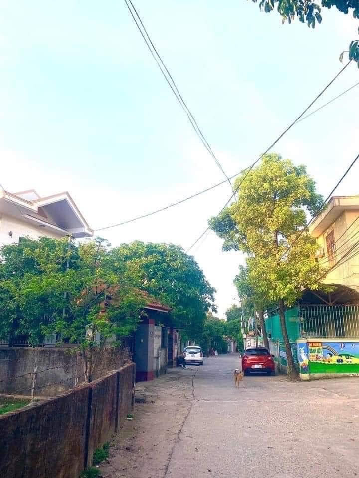 BÁN ĐẤT K TÔN THẤT THUYẾT, ĐÔNG HÀ