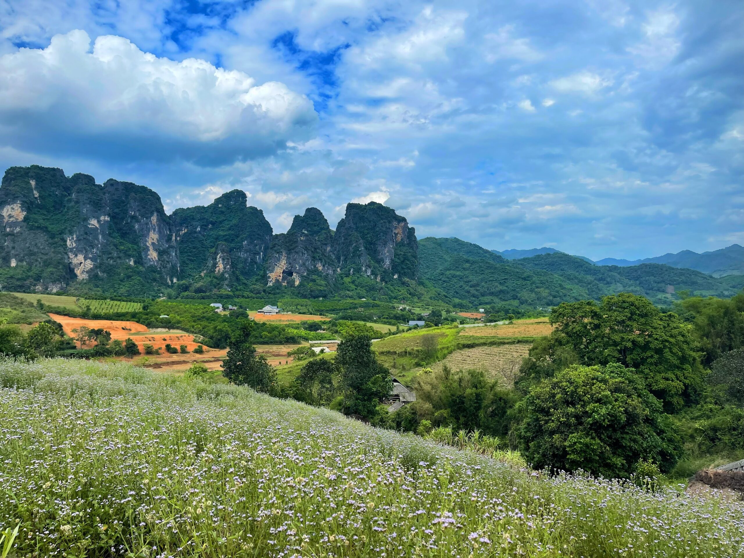 Siêu hiếm_Phương Canh_Từ Liêm_gần phố_ô tô tránh_ngõ thông_38*5T chỉ 4,xx