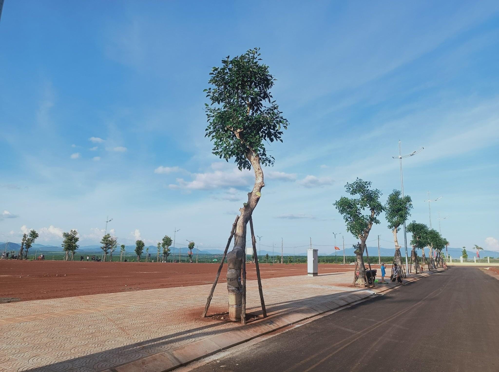 🔥 CHỈ VỚI 9/m2 TRIỆU ĐỒNG - SỞ HỮU NGAY KHU ĐẤT VÀNG TẠI GIA LAI