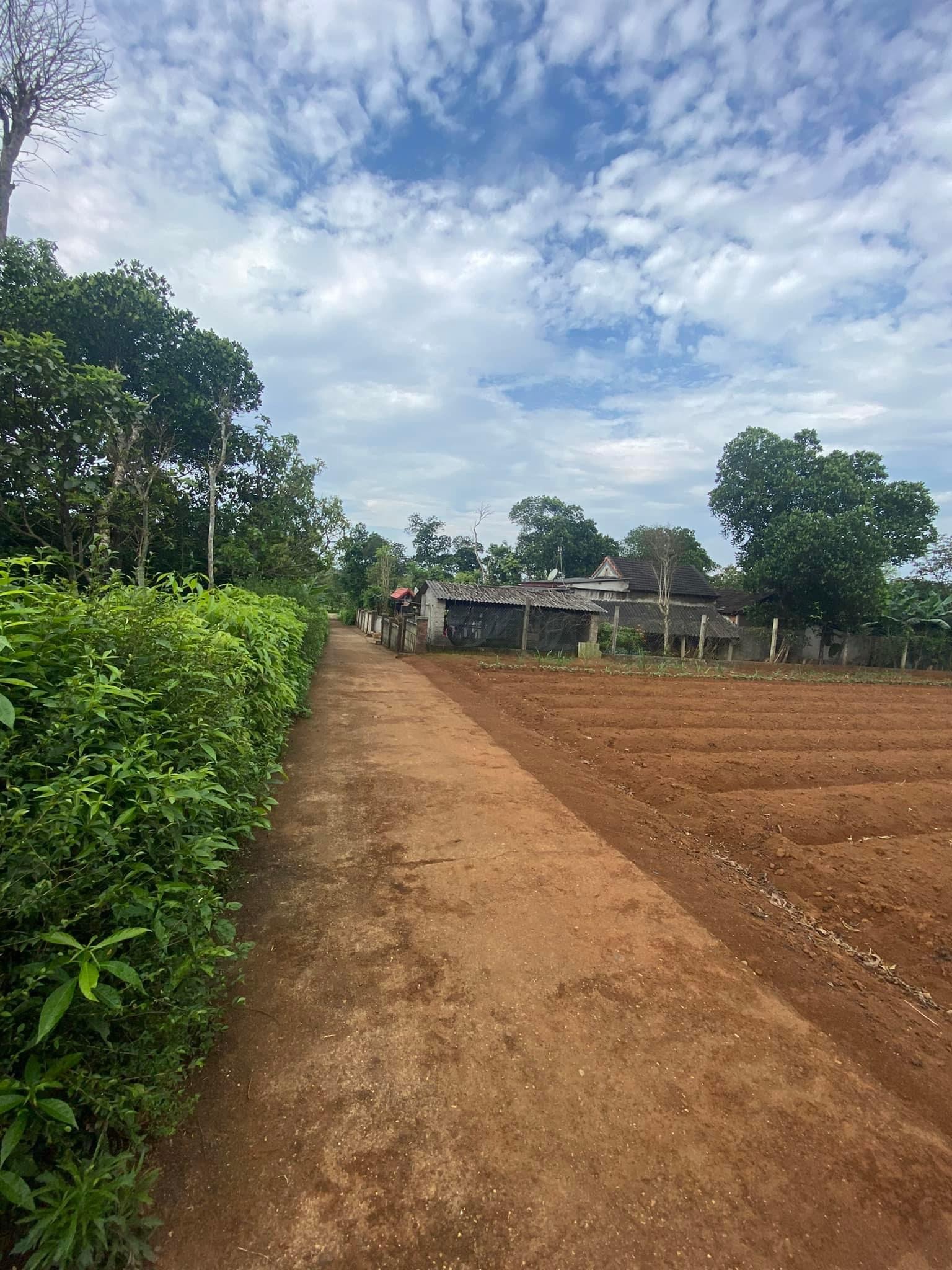 Block Nằm Trong Khu Sinh Thái Linh Chiểu Chưa Qua Đầu Tư