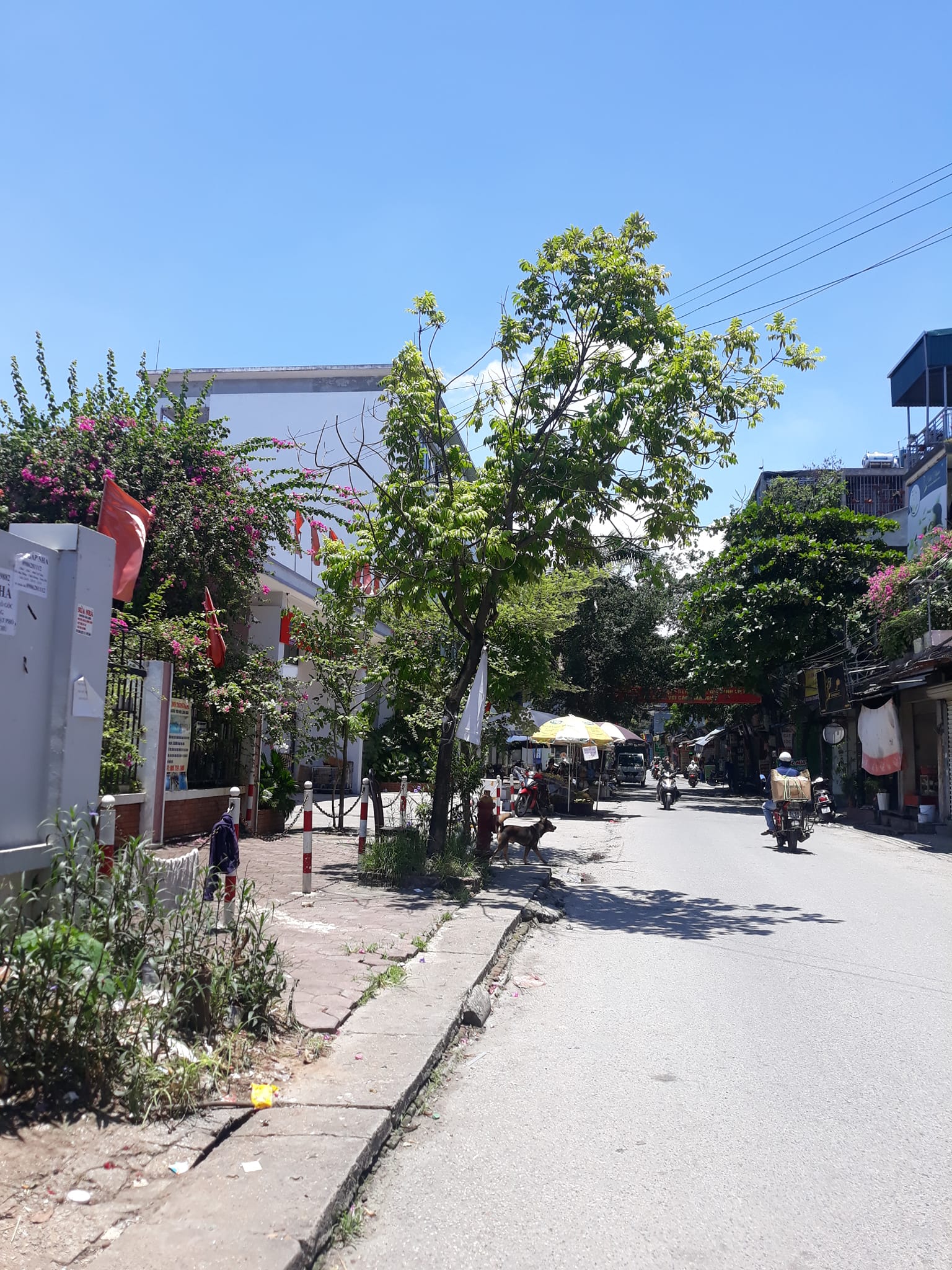 Nhà mặt phố Nam Dư, gần Lĩnh Nam, 86m2, MT 5m, giá 15.1 tỷ