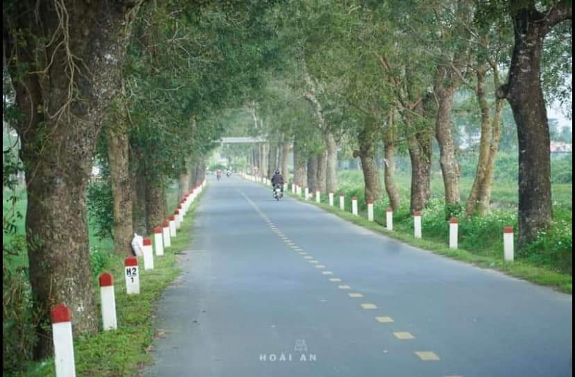 Đất nền gía rẻ khu hải lăng Quảng trị.