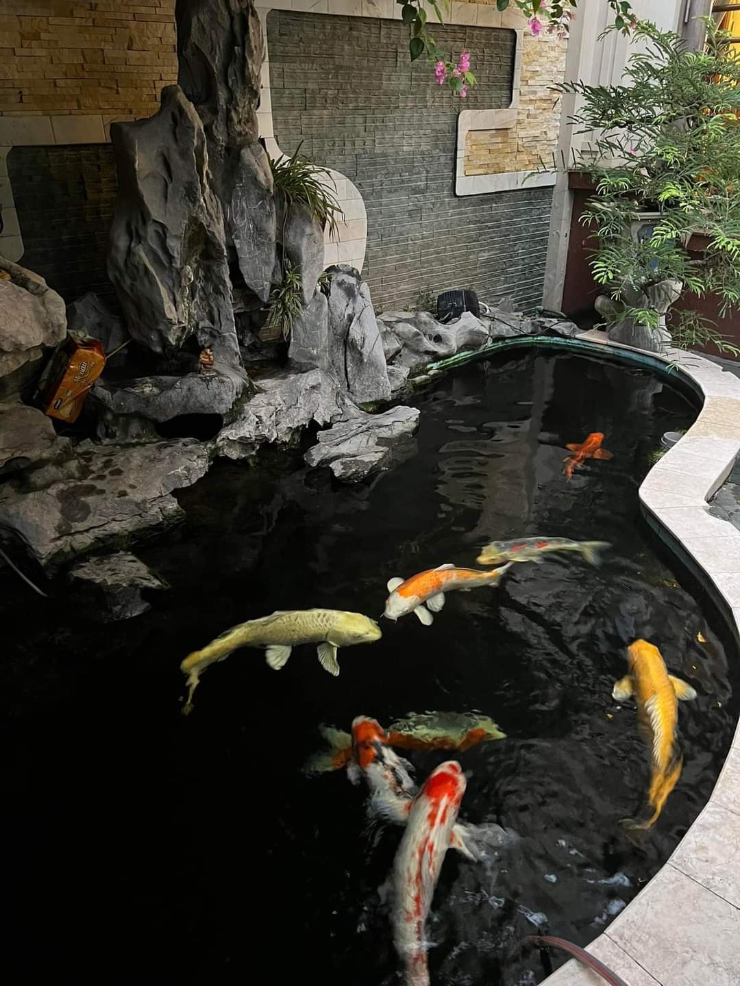 BÁN BIỆT THỰ VÍP LINH ĐÀM, HOÀNG MAI, HÀ NỘI