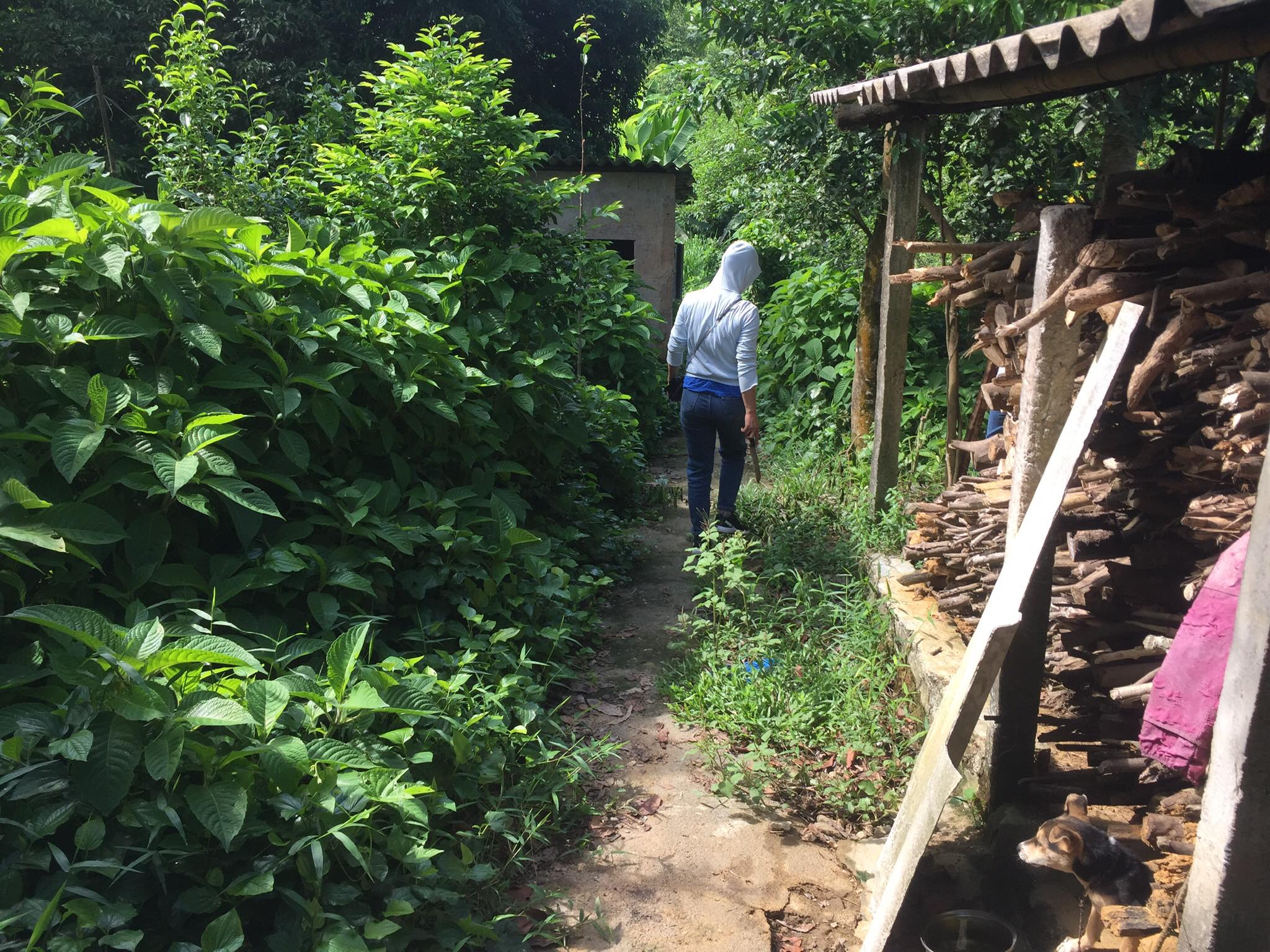 ĐẤT TRANG TRẠI, CẦN SANG NHƯỢNG - GIÁ THƯƠNG LƯỢNG CỰC TỐT - THU NHẬP 60TR/THÁNG