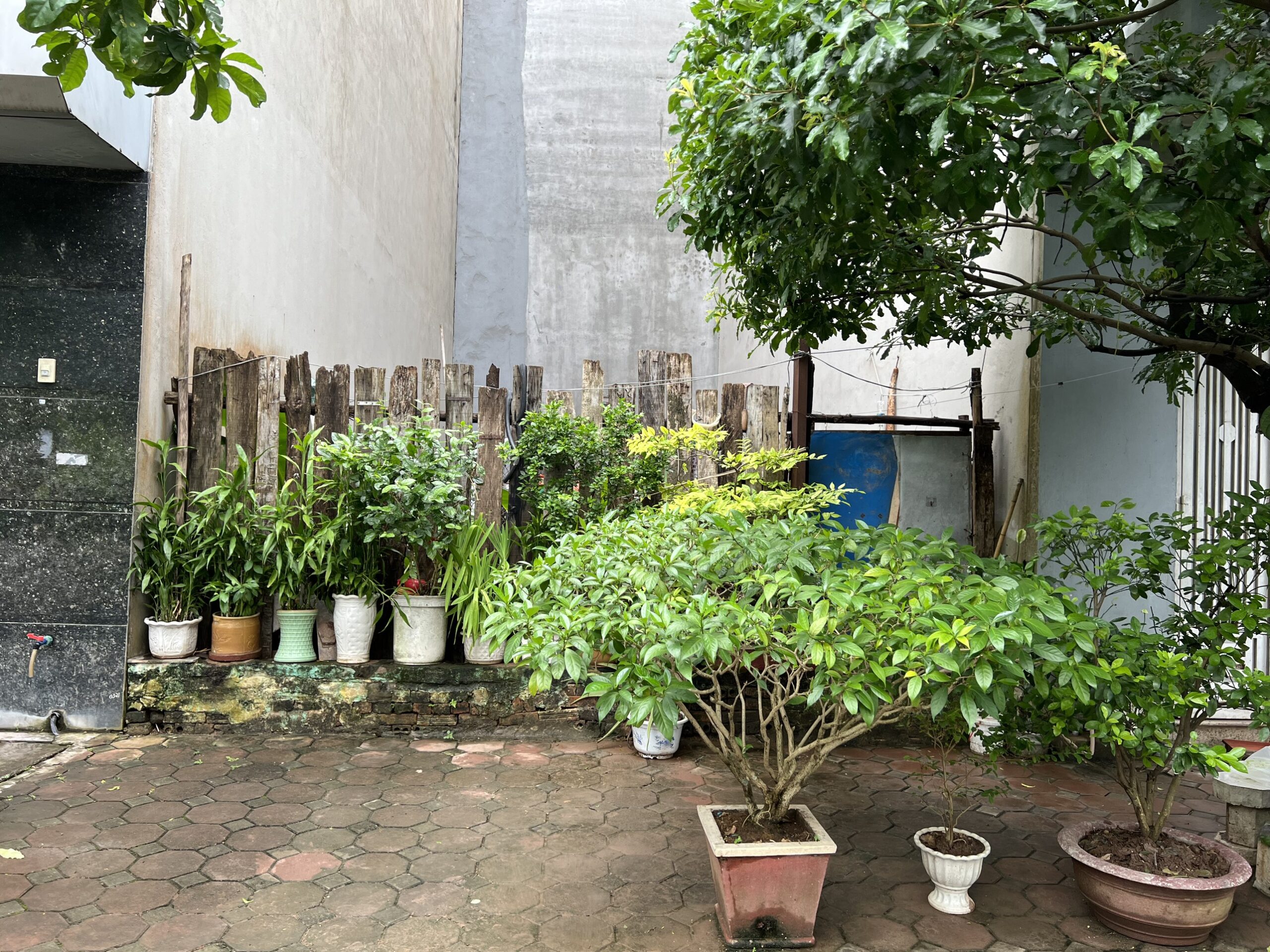 Cần sang tên gấp mảnh đất nằm trong khu phân lô Phúc Thịnh mặt đường Ỷ Lan, Đặng Xá