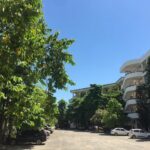  5000m2 - 3