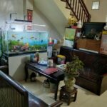 50m2 - 1