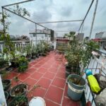  60m2 - 3