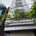 40m2 - 1