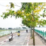  80m2 - 1