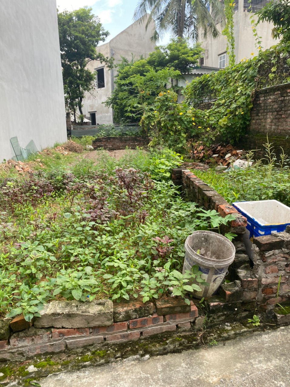 Bán lô đất thổ cư tại thượng dt 40m giá nhỉnh tỷ lh 0842133336