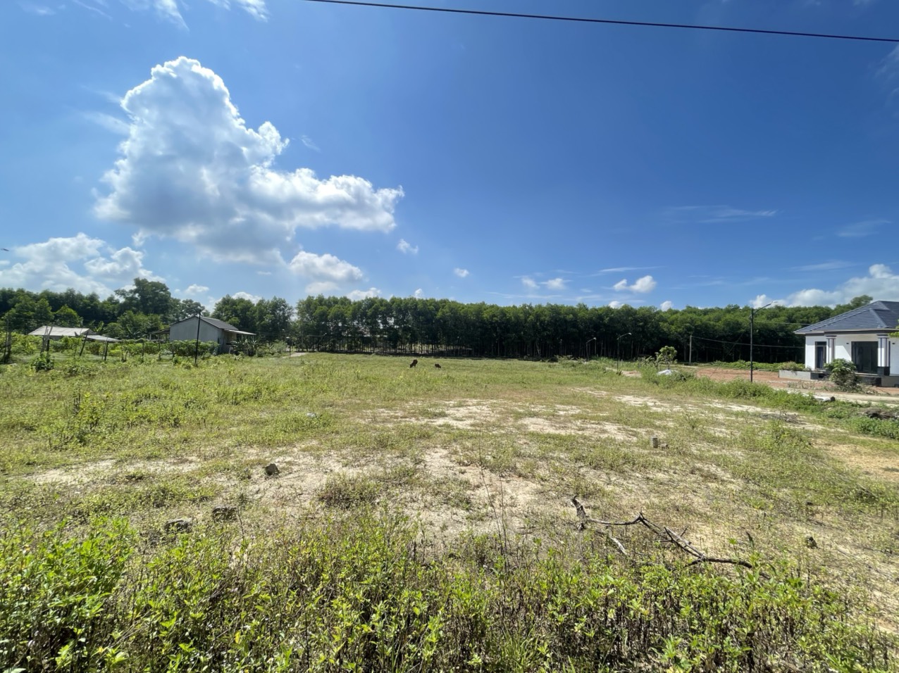 BÁN GẤP ĐẤT KV BẢO ĐẠI, DT: 6X18M, GIÁ 690TR