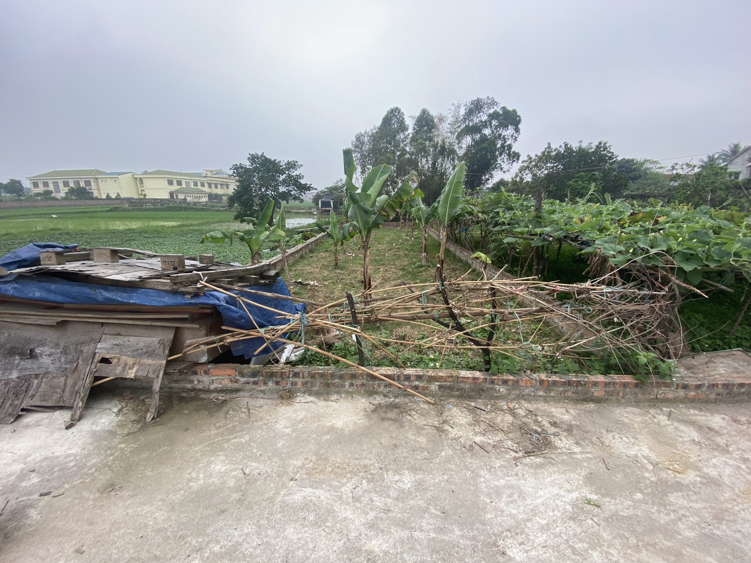 Chính chủ bán lô góc 83m2. Song Mai Đông - Mai Đình - Sóc Sơn - HN. Đường 5m thông thoáng