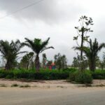  90m2 - 3