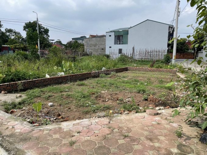 Bán lô góc diện tích 55m2 tại Lại Yên, Hoài Đức, Hà Nội