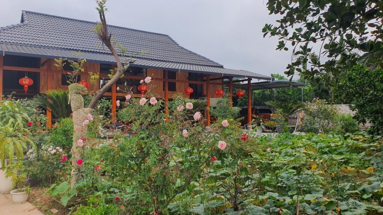 Biệt thự nhà sàn sân vườn Sơn Tây - 2005m2 - phong thủy nở hậu - non nước hữu tình - 10 tỷ