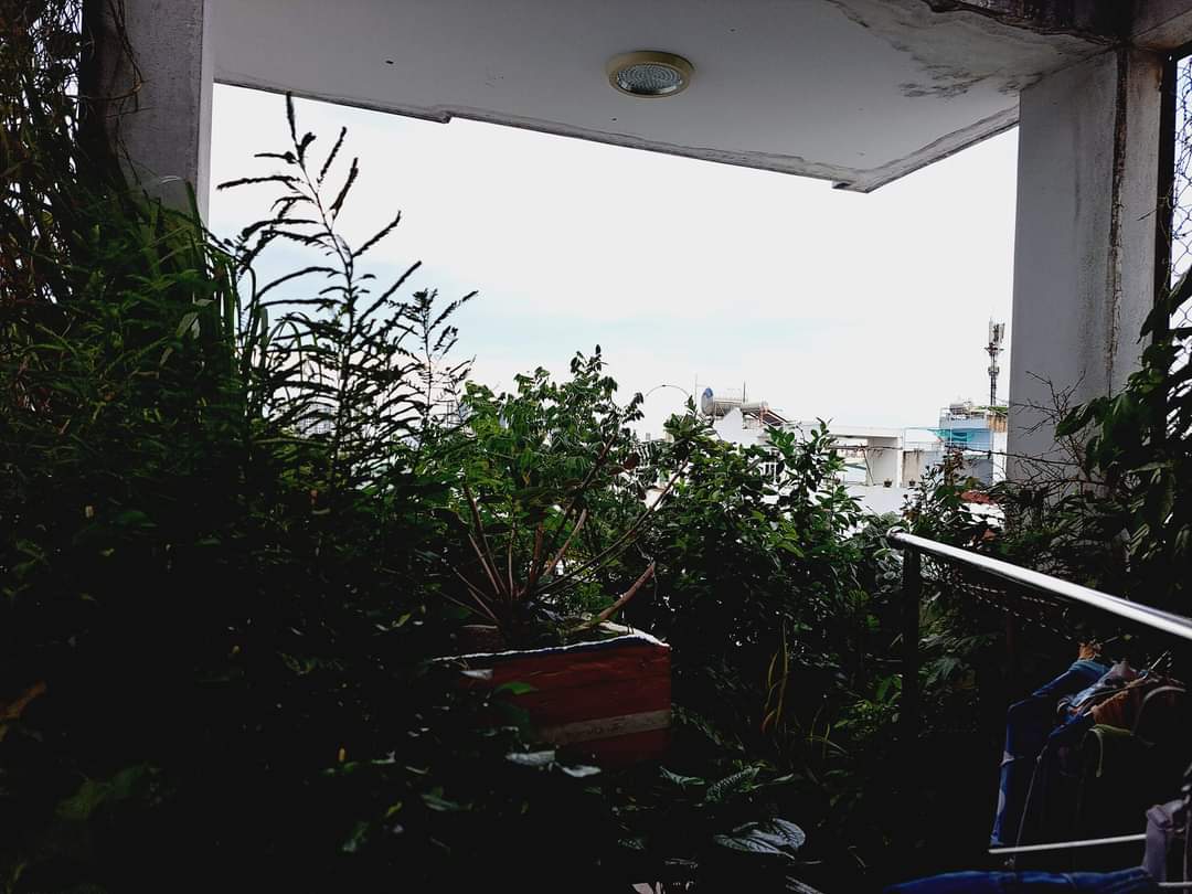 Bán nhà 2lầu mặt tiền kinh doanh đường xóm chiếu. Giá16tỷ