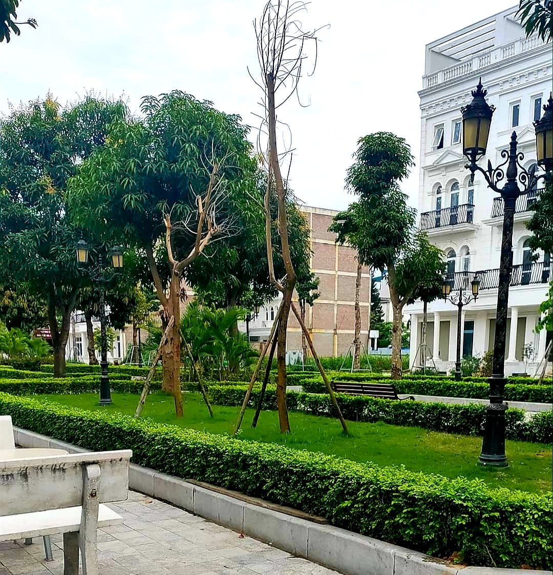 Bán biệt thự Louis city Đại Mỗ, Dãy Louis V, 100m2, hướng Đông Nam mát mẻ, ở trung tâm