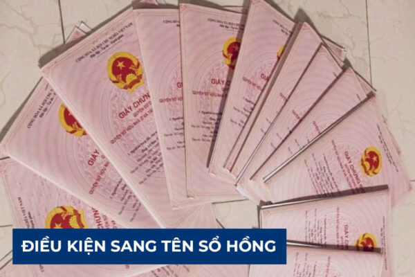 Sang ten so hong